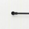 TRISCAN 8710 28106 Gas Spring, bonnet